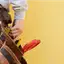 Handyman repair service in Naperville, IL for home fixes and improvements